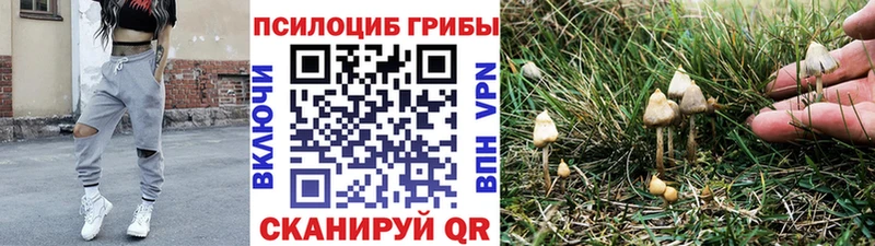 Галлюциногенные грибы Cubensis  Купить где  Данков 