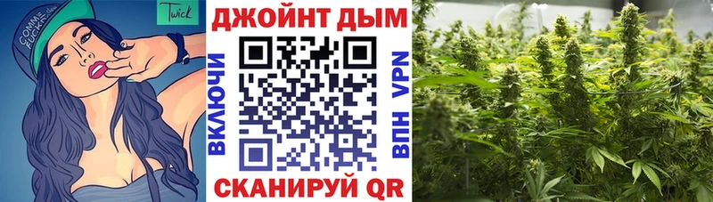 Купить где  Данков  Конопля ГИДРОПОН 